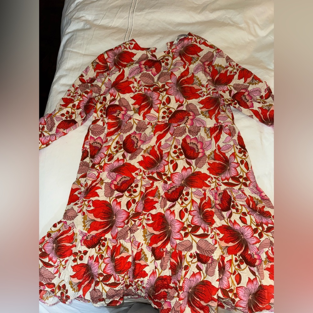Floral Red and Pink Zara Dress